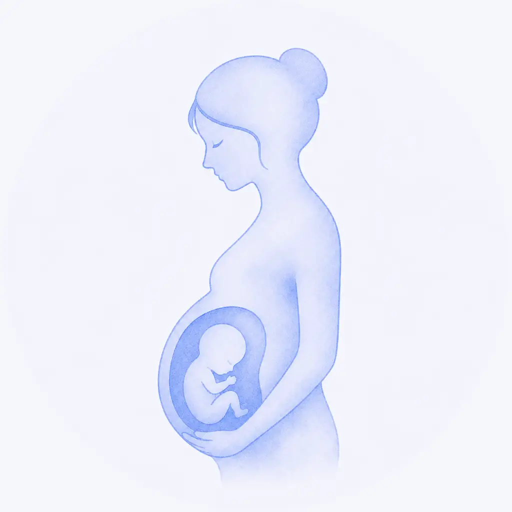 Illustratie van zwangerschap en vruchtbaarheid tijdens of na chemotherapie.
